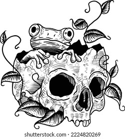 Drawing engraving style illustration skull with frog in it for design projects