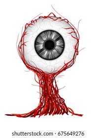Drawing of the eye anatomy - inner structure, Visual the devil with black and white background of illustrator
