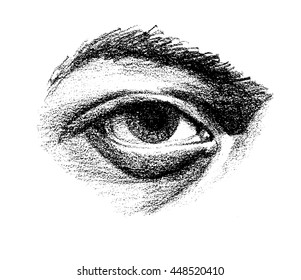 Drawing of an eye with arching eyebrow and heavy under eye bags