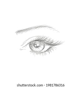 drawing of the eye. vector illustration on a white background. for beauty salon makeup artist stylist.