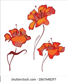 
Drawing  fashion creative set vector graphics with floral pattern for design with  tulip 