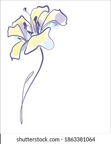 
Dibujo de la moda gráficos vectoriales creativos con patrón floral para el diseño con tulipán 