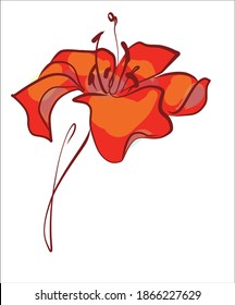 
Dibujo de la moda gráficos vectoriales creativos con patrón floral para el diseño con tulipán 