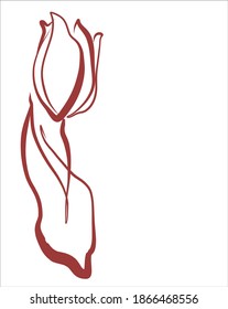 
Dibujo de la moda gráficos vectoriales creativos con patrón floral para el diseño con tulipán 