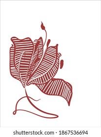 
Dibujo de la moda gráficos vectoriales creativos con patrón floral para el diseño con tulipán 