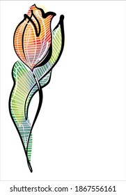 
Drawing fashion creative vector graphics with floral pattern for design with  tulip 