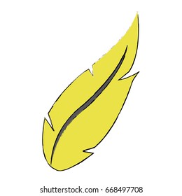 drawing feather bird natural image