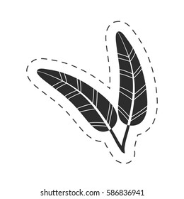 drawing feathers decorative thin line vector illustration eps 10