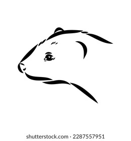 Drawing of ferret, vector illustration isolated on white. mink animal, vector sketch illustration