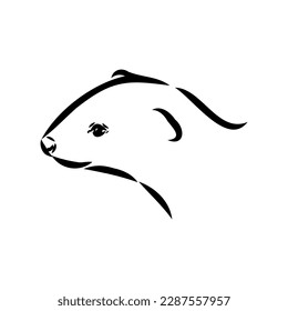 Drawing of ferret, vector illustration isolated on white. mink animal, vector sketch illustration