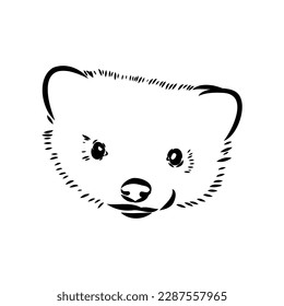 Drawing of ferret, vector illustration isolated on white. mink animal, vector sketch illustration