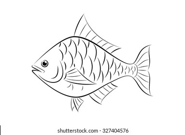 Drawing Fish