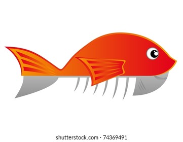 Drawing of a fish cut in half
