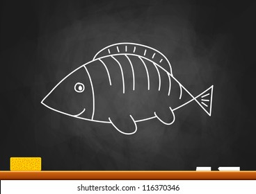 Drawing of fish on blackboard