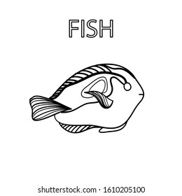 Drawing of a fish with a single black line.Hand drawn vector line illustration.Vector isolated outline drawing.Beauty element for design.Beautiful coloring page.