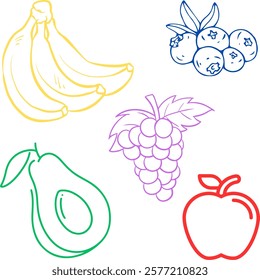 Drawing of five different fruits. 