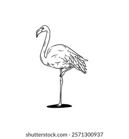 A drawing of a flamingo standing on one leg