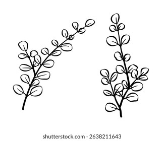 drawing floral element, line art leaves