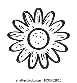 Drawing of a flower