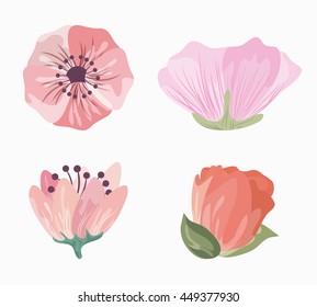 Drawing flower icon. Floral design. Vector graphic
