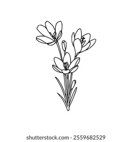 A drawing of a flower with leaves