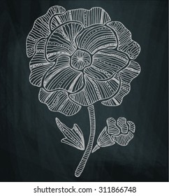 drawing flower on the chalkboard background