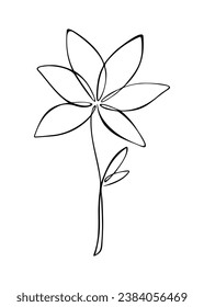 Dibujo de una flor con una línea, dibujada a mano, vector. Ilustración botánica en blanco y negro, colorante. Un elemento de vacaciones, decoración y diseño. La flor de un tallo delgado está aislada.