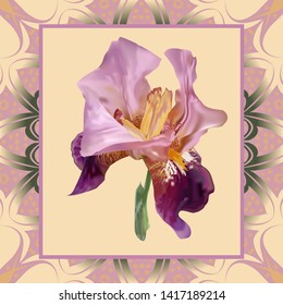 
Drawing - a flower violet-lilac iris in a frame on beige. The background is a patterned lacy blue-lavender hues. Clothing design, picture, card, bright element indoors. 
Romantic card.