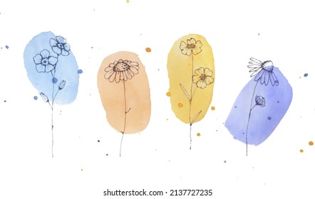 
Drawing of flowers (chamomile, forget-me-not, ranunculus), set, watercolor stains