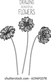 drawing flowers illustration vector and clip-art.