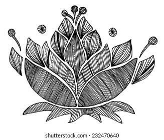 drawing flowers lily