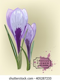 Drawing of the flowers on beige background. Decorative vertical colored violet flowers with green leaves. Hand drawn artistic crocus. Drawing on a tablet.