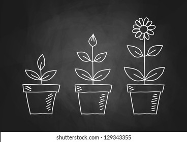 Drawing of flowers on blackboard