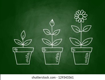 Drawing of flowers on blackboard