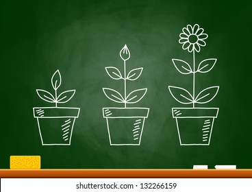 Drawing of flowers on blackboard