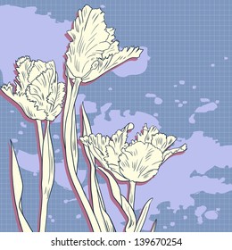 drawing flowers of tulips, vector illustration