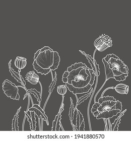 Drawing flowers in white on a gray background. Poppy flower clip art or illustration.