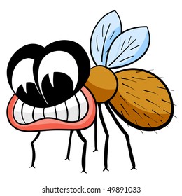 Drawing fly isolated on the white.