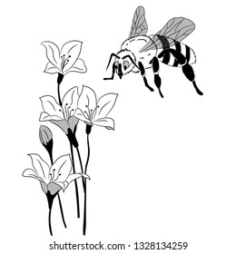 drawing of a flying bee and a flower