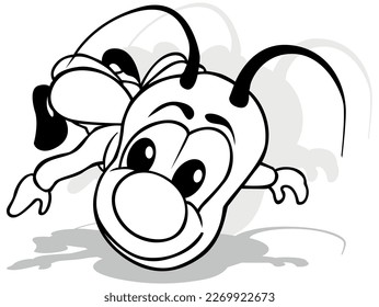 Drawing Flying Beetle and Big Head from Front View    Cartoon Illustration Isolated White Background  Vector