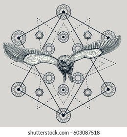 Drawing of a flying owl with spread wings in a geometry. Mystical graphic illustration with many details. Geometry and circles on the background. Vector boho t-shirt design or boho style tattoo art.
