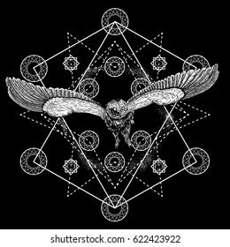 Drawing of a flying owl with spread wings in a dreamcatcher. Mystical graphic illustration with many details. Geometry and feathers on the background. Boho t-shirt design or boho style tattoo art.