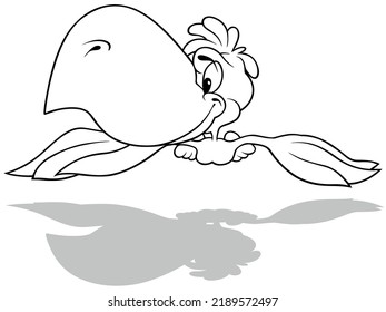 Drawing of a Flying Parrot with a Big Beak from Front View - Cartoon Illustration Isolated on White Background, Vector