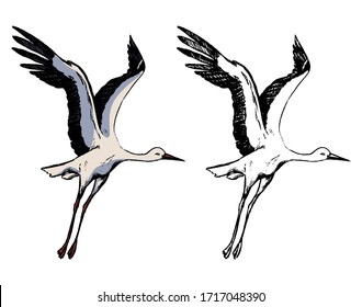 Drawing Flying Stork Realistic Sketch Wild Stock Vector (Royalty Free ...