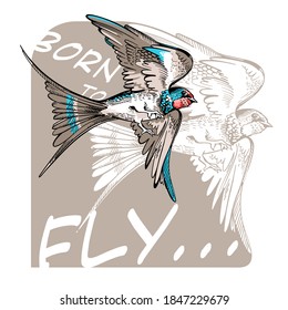 
Drawing of a flying swallow. Born to fly illustration.  T-shirt composition.