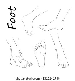 Drawing of foot, scheme, vector