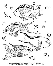 Drawing of four outline fish, black and white color. Vector illustration stylized sea fish and bubbles, isolated on white background. Children's coloring.