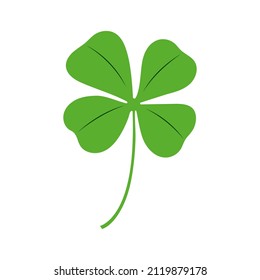 Drawing of a four-leaf clover, symbol of good luck. four-leaf clover for St. Patrick's Day. Drawing of a clover isolated on a white background. Vector illustration