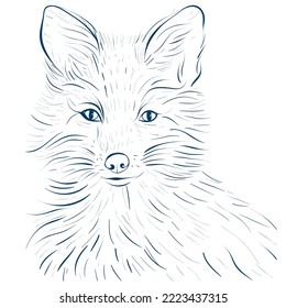 Drawing Fox Line Art, Vector Format