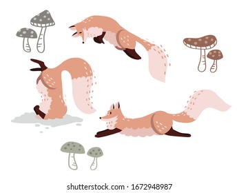 Drawing Fox Vector Elements Set